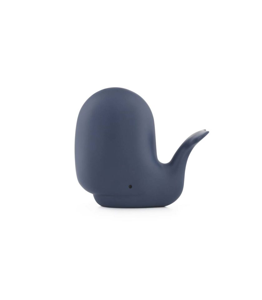 Happy Whale