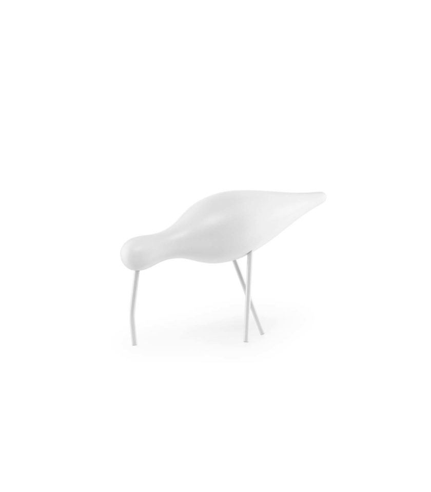 Shorebird large - Image 4