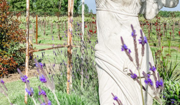 Winged Victory